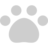 顔や髪の描き方講座 お絵かき講座パルミー