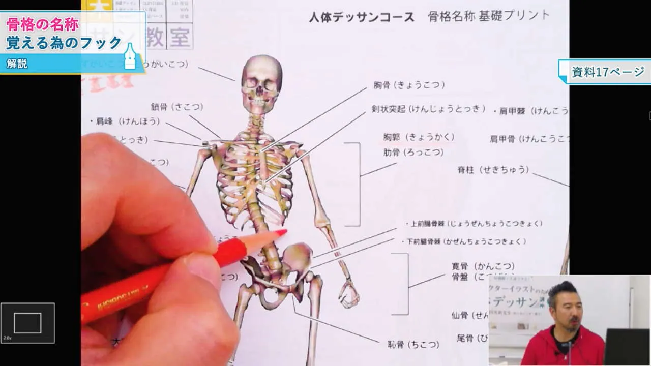 キャラクターイラストのための人体デッサン講座 By 吉田英利先生 代々木デッサン教室 お絵かき講座パルミー キャラクターイラストのための人体デッサン講座 By 吉田英利先生 代々木デッサン教室 お絵かき講座パルミー