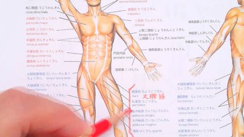 授業内容