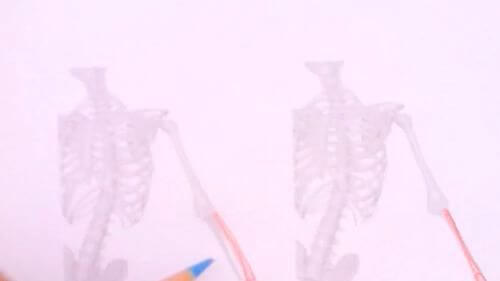 授業内容