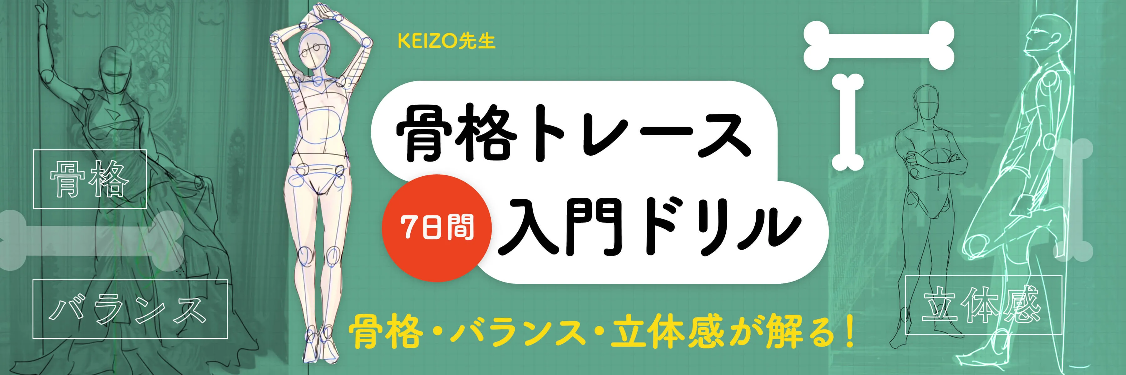 人体バランスを体得する 骨格トレース7日間 お絵かき講座パルミー 人体バランスを体得する 骨格トレース7日間 お絵かき講座パルミー