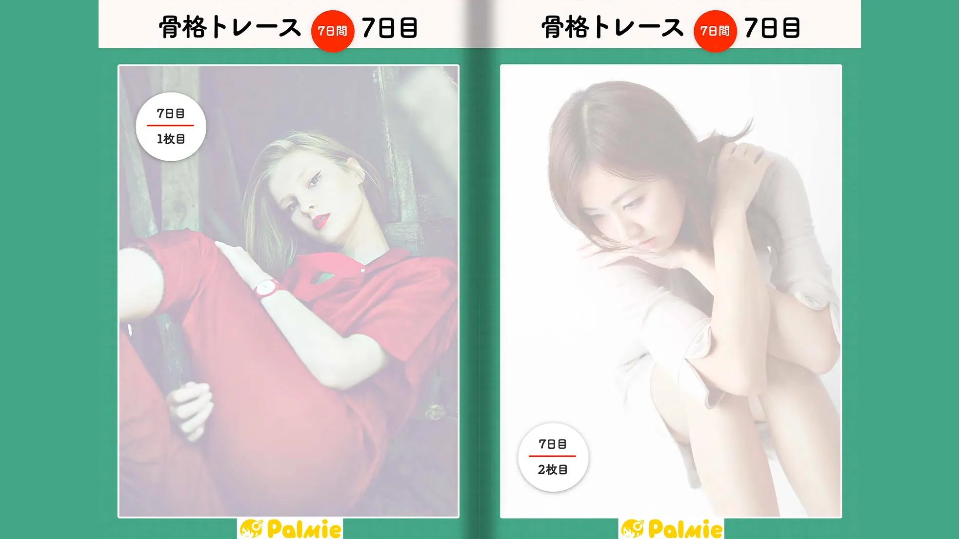 骨格トレース練習講座 お絵かき講座パルミー 骨格トレース練習講座 お絵かき講座パルミー