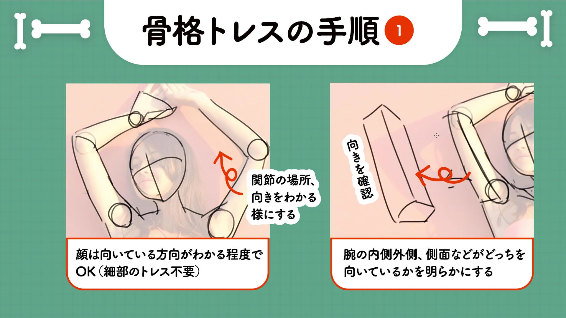 骨格トレース練習講座 お絵かき講座パルミー 骨格トレース練習講座 お絵かき講座パルミー