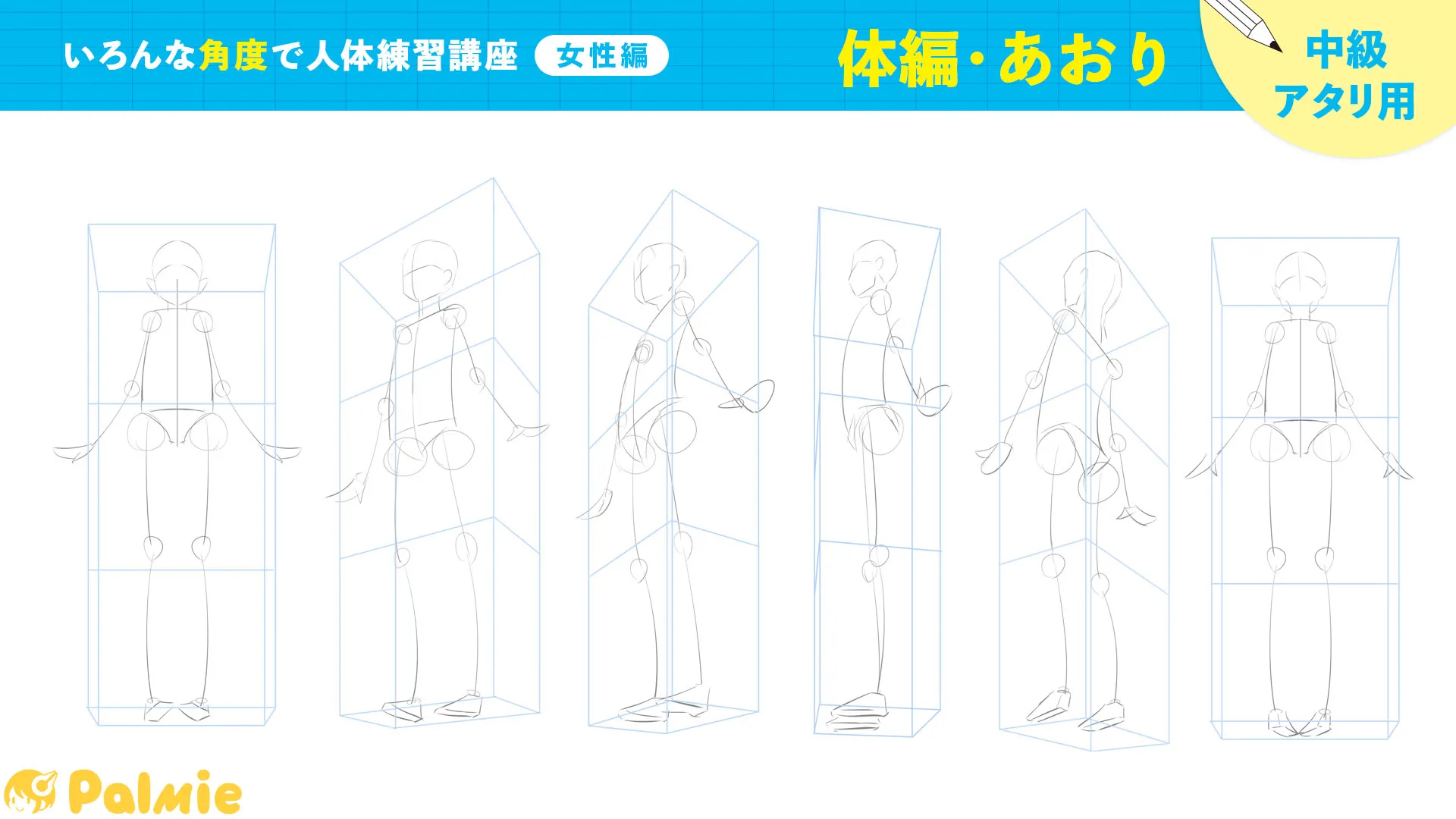 いろんな角度で人体練習講座 女性編 お絵かき講座パルミー いろんな角度で人体練習講座 女性編 お絵かき講座パルミー