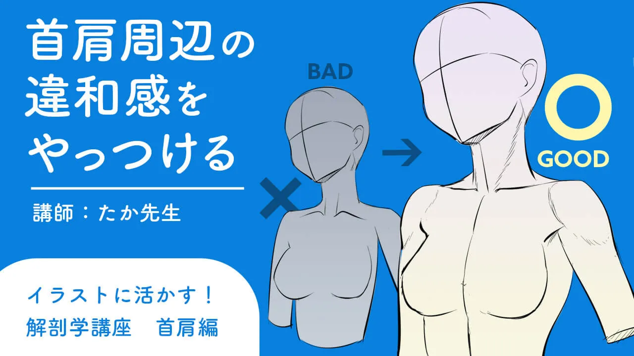 イラストに活かす解剖学講座 首 肩編 お絵かき講座パルミー イラストに活かす解剖学講座 首 肩編 お絵かき講座パルミー