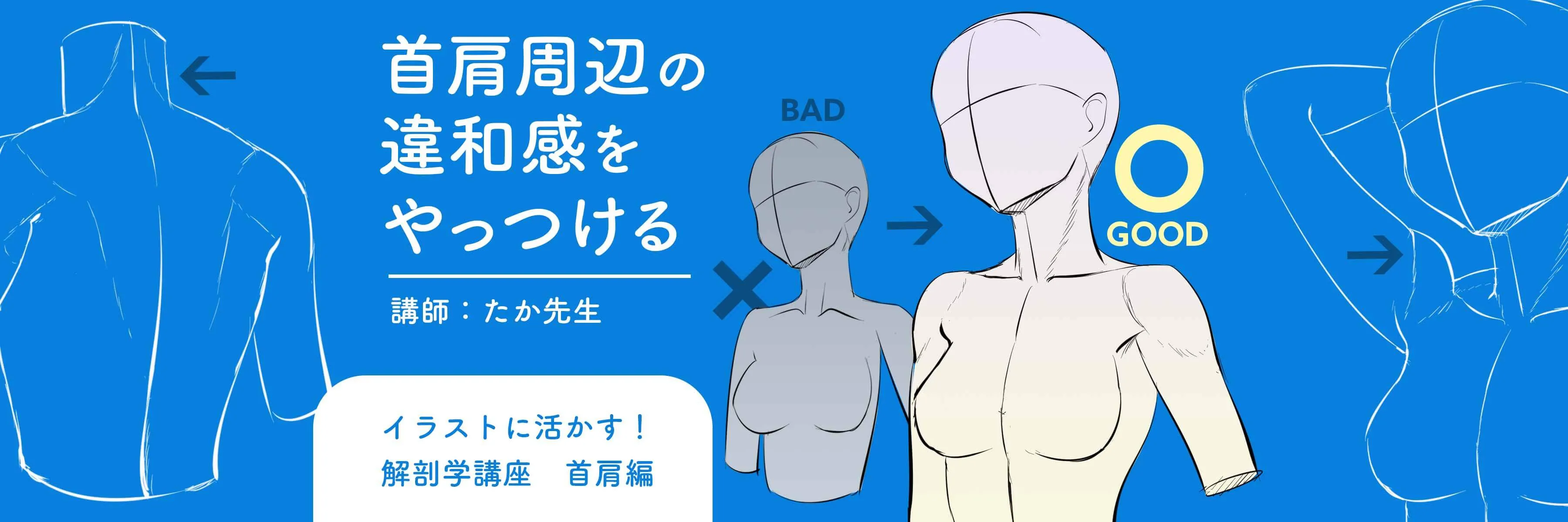 イラストに活かす解剖学講座 首 肩編 お絵かき講座パルミー イラストに活かす解剖学講座 首 肩編 お絵かき講座パルミー