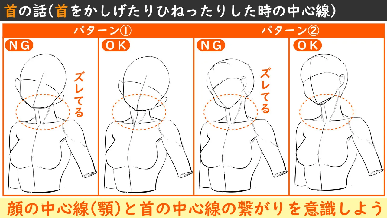 イラストに活かす解剖学講座 首 肩編 お絵かき講座パルミー イラストに活かす解剖学講座 首 肩編 お絵かき講座パルミー
