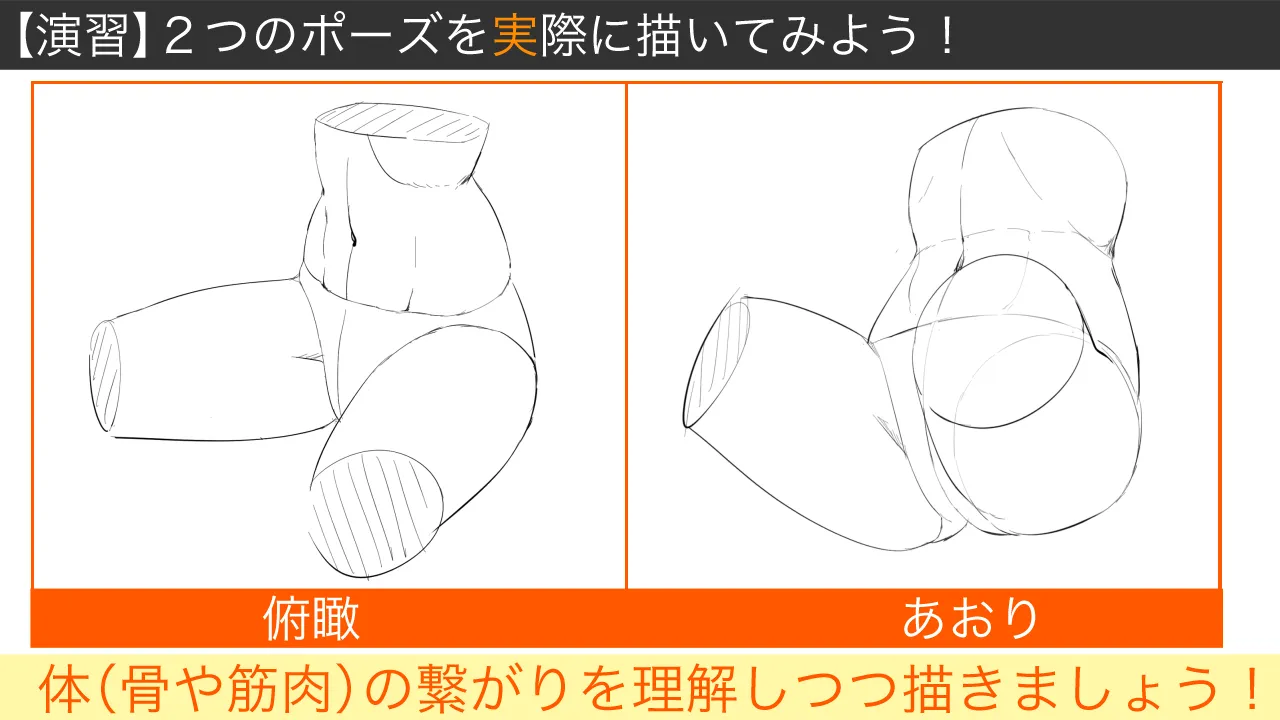 イラストに活かす 解剖学講座 脚 腰編 お絵かき講座パルミー イラストに活かす 解剖学講座 脚 腰編 お絵かき講座パルミー