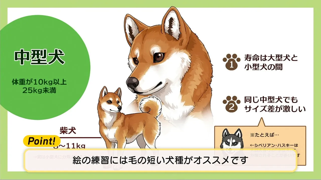 犬の描き方講座 お絵かき講座パルミー 犬の描き方講座 お絵かき講座パルミー