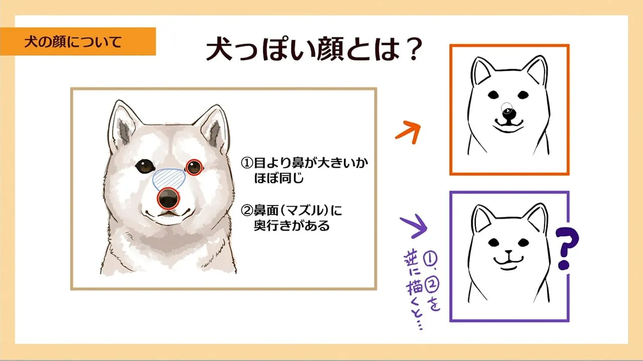 犬の描き方講座 お絵かき講座パルミー 犬の描き方講座 お絵かき講座パルミー
