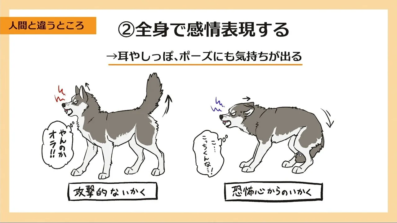 犬の描き方講座 お絵かき講座パルミー 犬の描き方講座 お絵かき講座パルミー