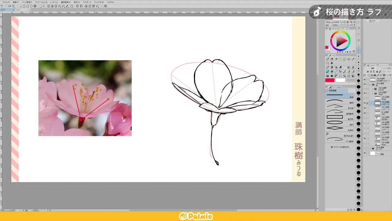 花の描き方講座 基本編 お絵かき講座パルミー 花の描き方講座 基本編 お絵かき講座パルミー