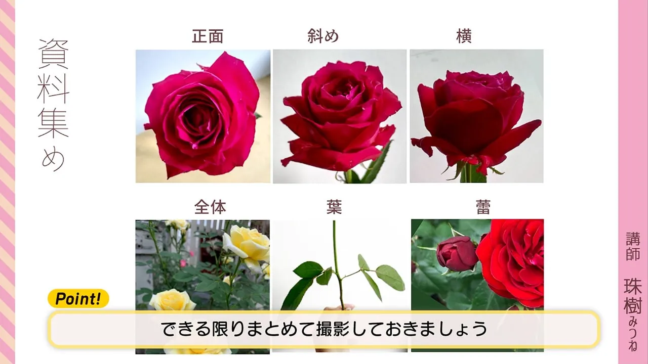 花の描き方講座 応用編 お絵かき講座パルミー 花の描き方講座 応用編 お絵かき講座パルミー