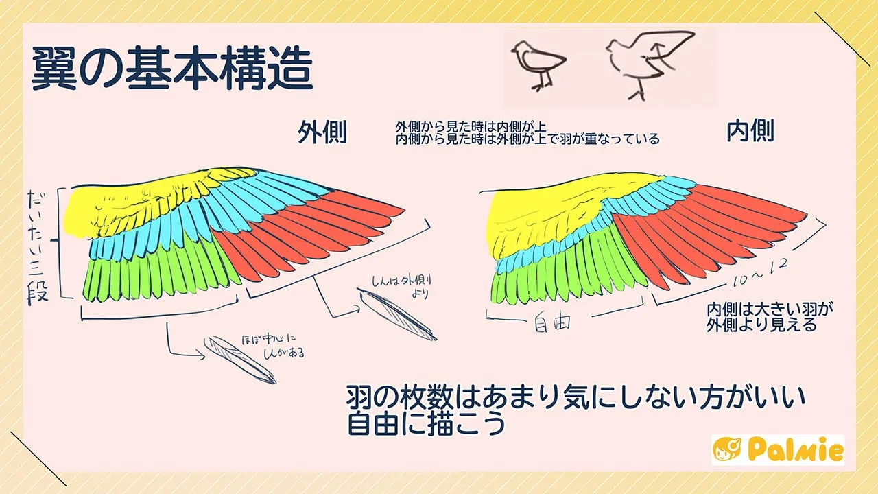 翼の描き方講座 お絵かき講座パルミー