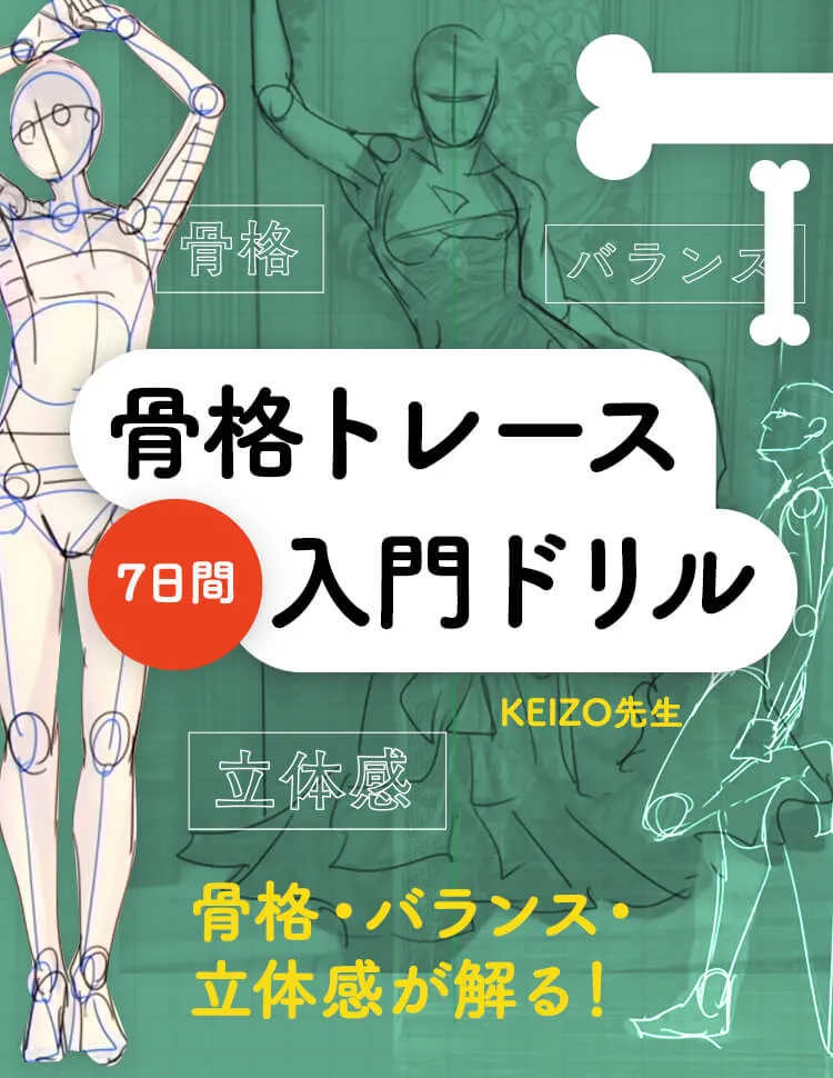人体バランスを体得する 骨格トレース7日間 お絵かき講座パルミー 人体バランスを体得する 骨格トレース7日間 お絵かき講座パルミー