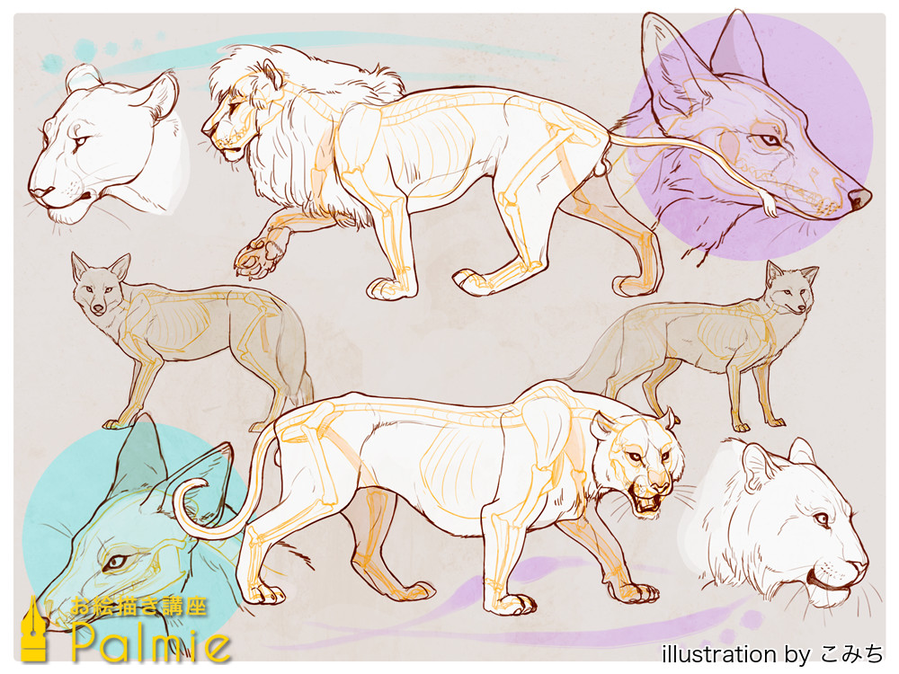 動物イラストの描き方講座の決定版 似ている動物の描き方講座 お絵かき講座パルミー 動物イラストの描き方講座の決定版 似ている動物の描き方講座 お絵かき講座パルミー