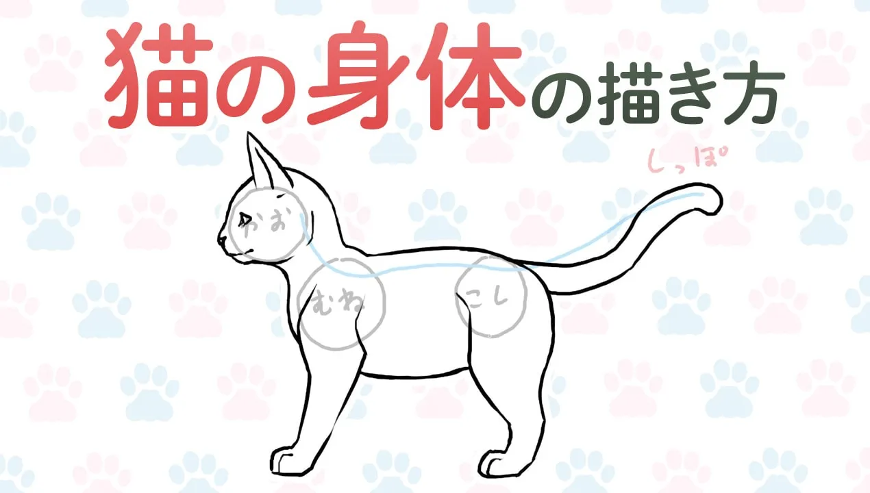 猫の描き方!全身のイラストを描く手順、人気の種類を紹介