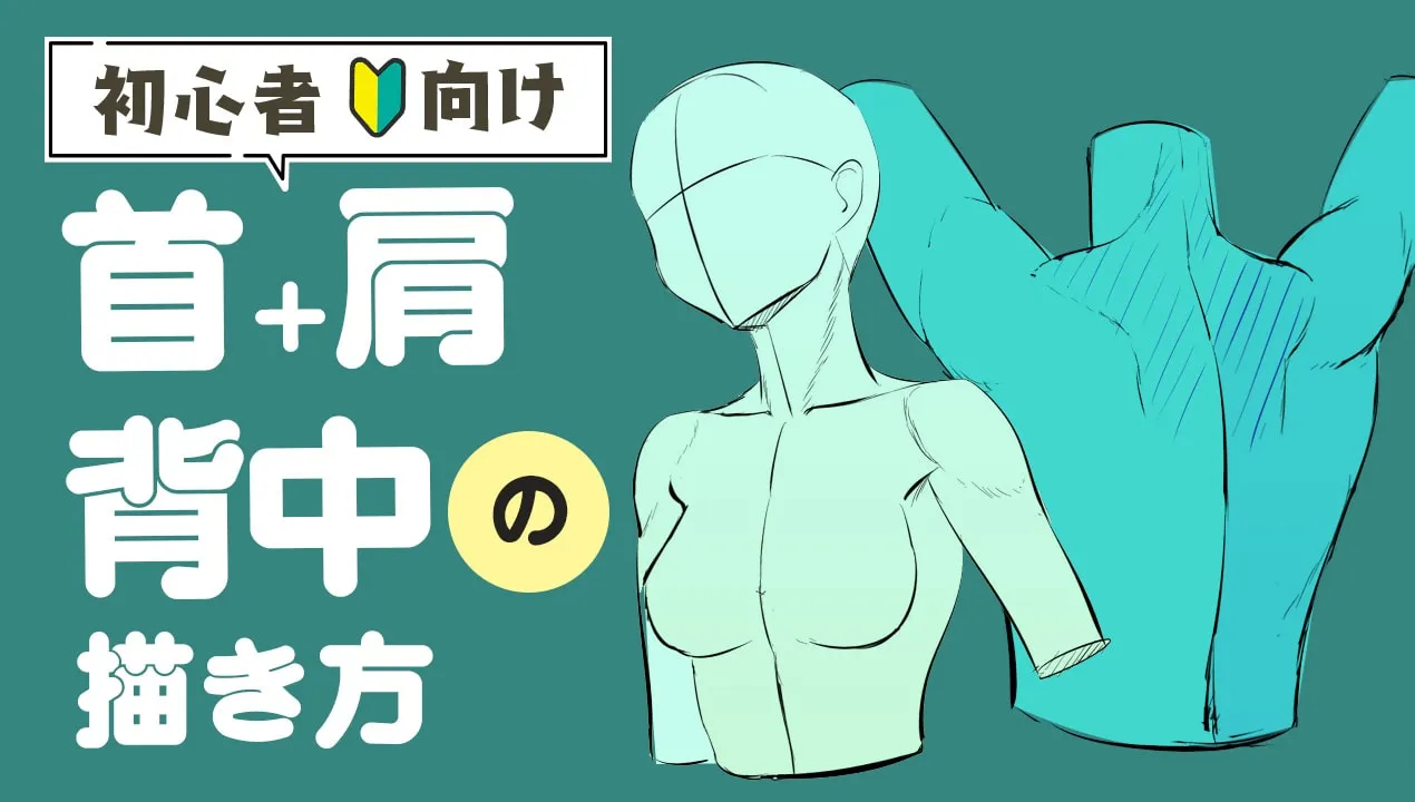 首と肩の描き方。斜めからのアングルでイラスト解説