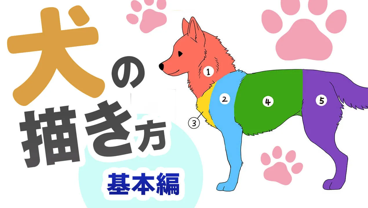犬の描き方をイラスト解説。簡単に覚えられるポイントを紹介