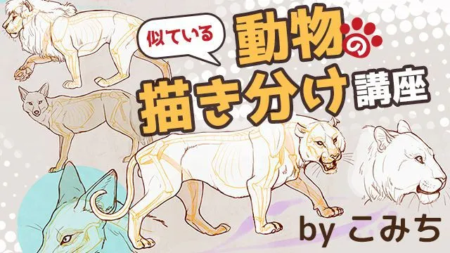 動物イラストの描き方講座の決定版!似ている動物の描き方講座