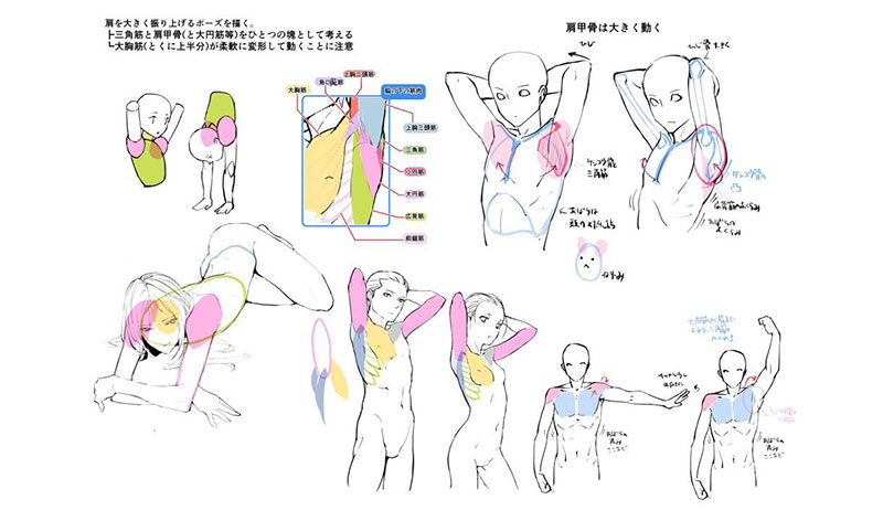 全身の構造も図解でスッキリ理解!